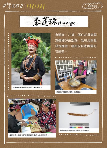 臺灣小米!種起來!成果電子報第五期