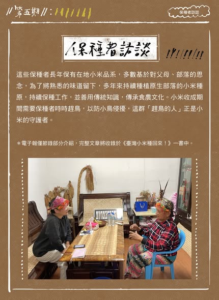 臺灣小米!種起來!成果電子報第五期