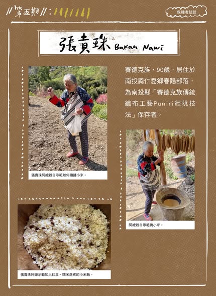 臺灣小米!種起來!成果電子報第五期