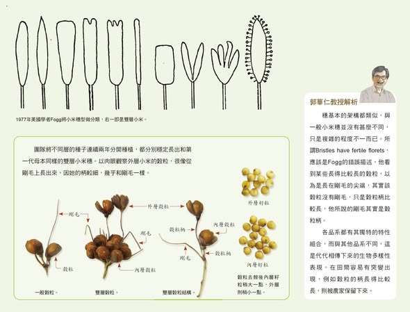 編輯部的故事:《臺灣小米種回來!》後製工作紀實