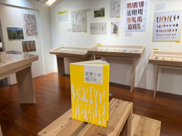 百米綻放·臺灣小米環臺串聯展於大稻埕正式開展