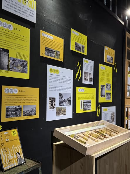 臺灣小米串聯展臺東站開展,展示五大族群保種成果