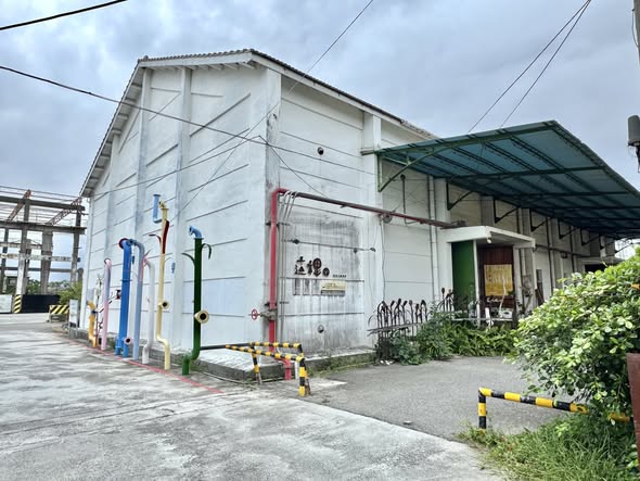 臺灣小米串聯展臺東站開展,展示五大族群保種成果