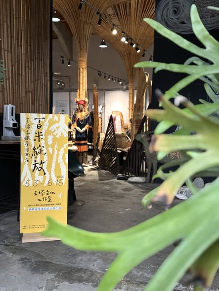 臺灣小米串聯展臺東站開展,展示五大族群保種成果