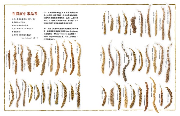 歷史上的今天:100年前的「祭事曆」