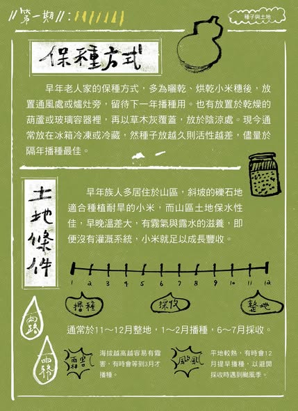 【認識臺灣小米-1】種子與土地
