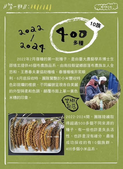 【認識臺灣小米-1】種子與土地