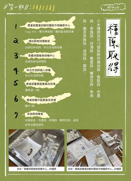 【認識臺灣小米-1】種子與土地