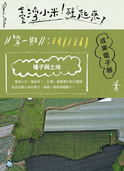 【認識臺灣小米-1】種子與土地