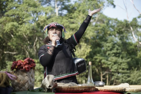南投縣信義鄉人和國小:小米重新種回人和土地