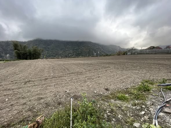 布農族小米回家：50年前種原重返利稻部落