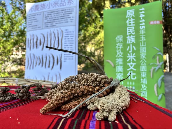 南投信義鄉羅娜國小:新學期從一粒小米種子開始