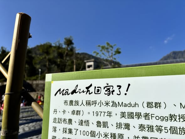 南投信義鄉羅娜國小:新學期從一粒小米種子開始