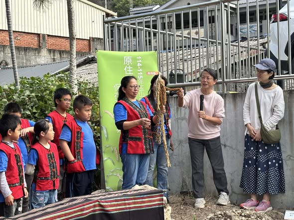 布農族小米保種復育推廣計畫:豐丘國小播種活動,90歲長輩重見小米的感動時刻
