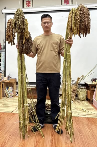人和國小無敵日:雨中搶收小米的動人時刻