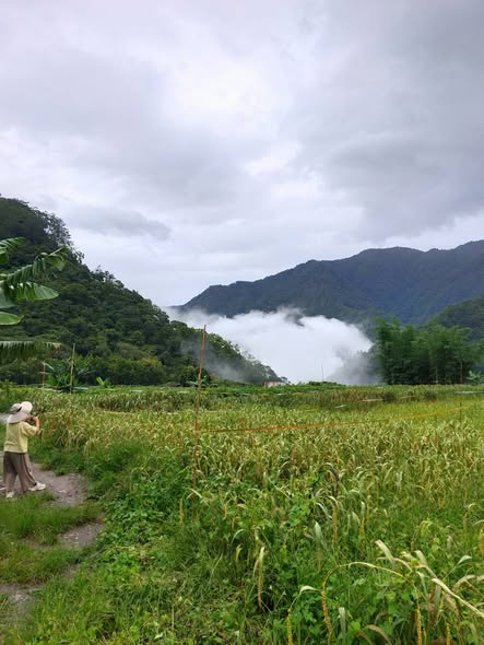 50年的小米驚奇之旅