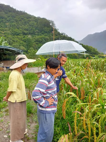50年的小米驚奇之旅