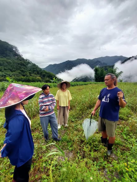 50年的小米驚奇之旅