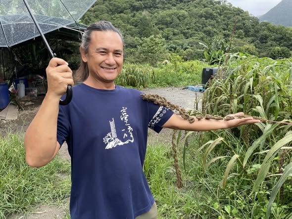 50年的小米驚奇之旅